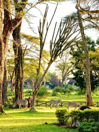 Kenya 8-day ultimate land and water safari experience