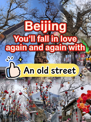 The Beijing ancient street praised by CCTV: see murals, pet cats, drink coffee, and get great photos