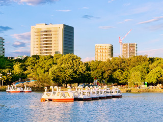 Fukimi-do at Ohori Park, Fukuoka | A serene and poetic lakeside escape