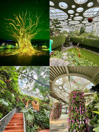 Shanghai's hidden indoor gem: a real-life rainforest wonderland, with an atmosphere that outshines any aquarium
