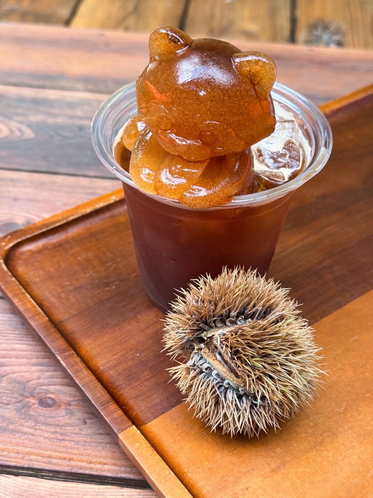 昆明周邊避世偷閒！森林咖啡屋擼浣熊