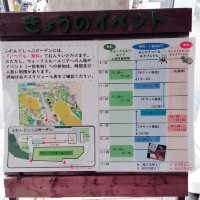 入場料 大人500円！大満足 天王寺動物園