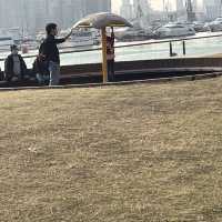 東九龍親子樂園，觀塘海濱音樂噴泉花園💐🌷🌹🌺