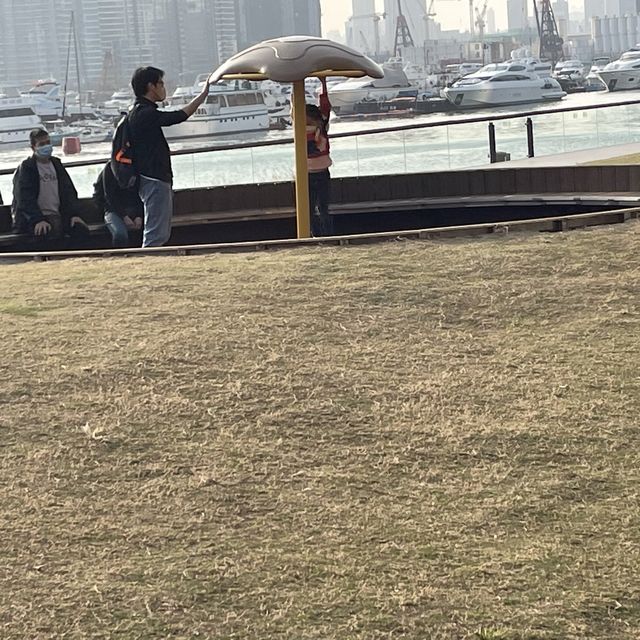 東九龍親子樂園，觀塘海濱音樂噴泉花園💐🌷🌹🌺