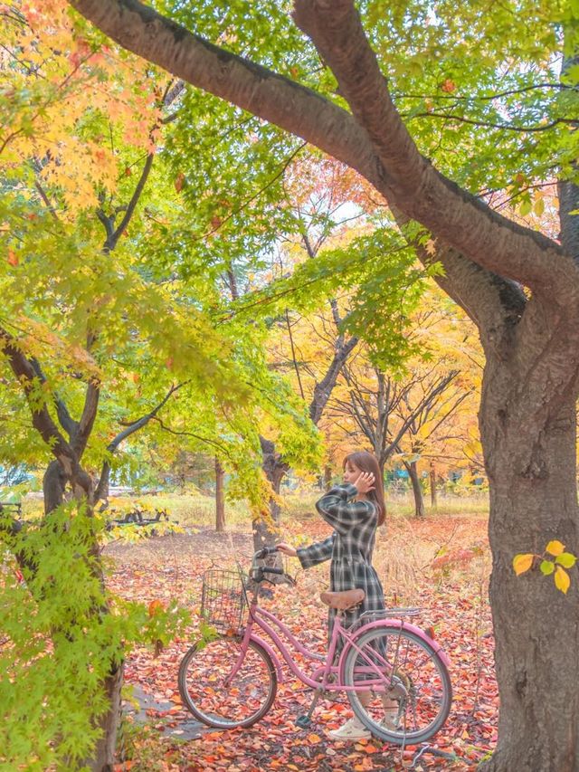 흐려도 아름다운 가을경주 황룡원🍁