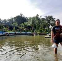 Game on a dip at Sg. Lalang Hotspring, Semenyih