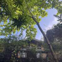 Bright Photography Shots at Antipolo Beehouse