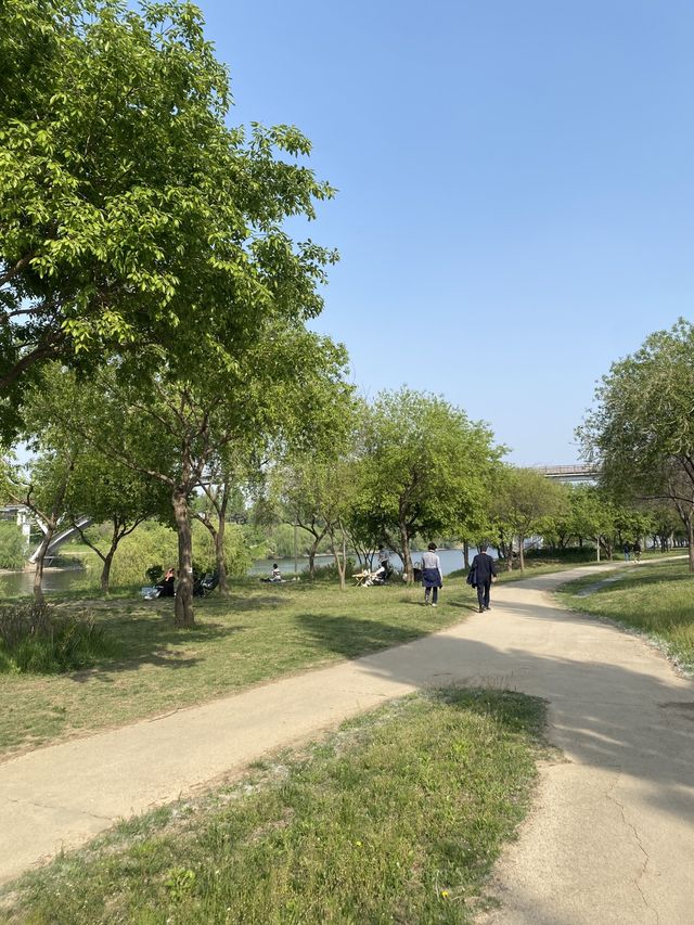 나만 알고싶은 피크닉 장소 양화한강공원🥪🌳