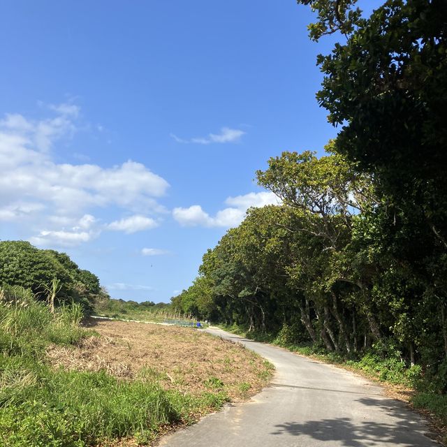 沖縄の神の島　久高島