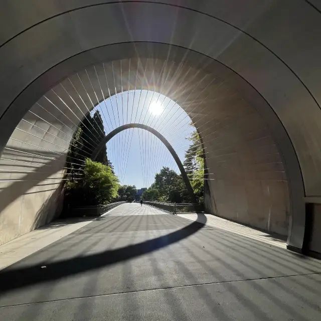 at Miho Museum 