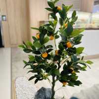 韓國濟州蜜柑🍊主題木系餐廳