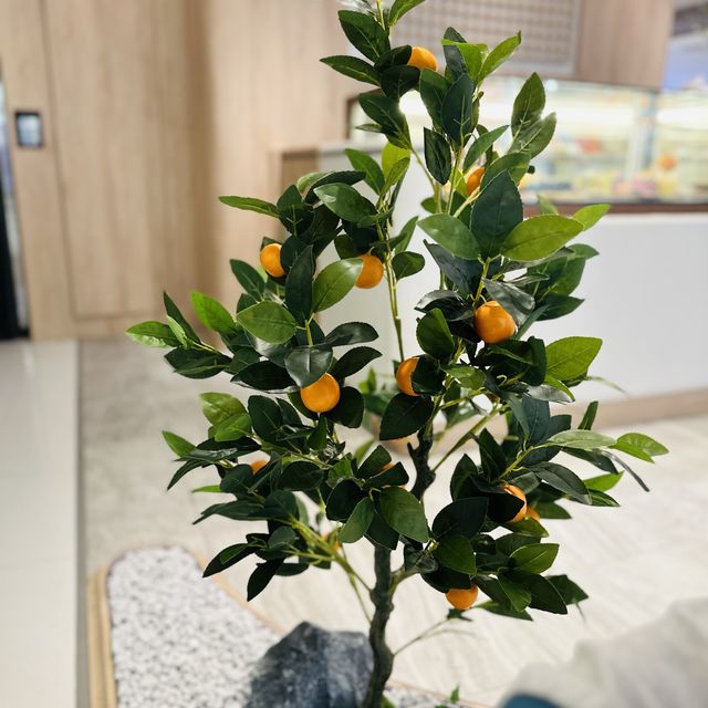 韓國濟州蜜柑🍊主題木系餐廳