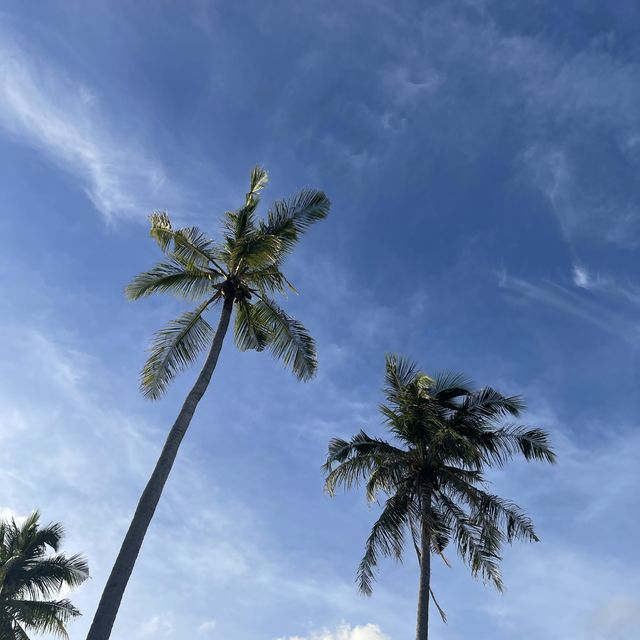 Coconut Garden in Ujong Kareung
