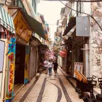 ARRAIAL NA ERVANÁRIOS PRESENTS 3D CAT VIDEOS