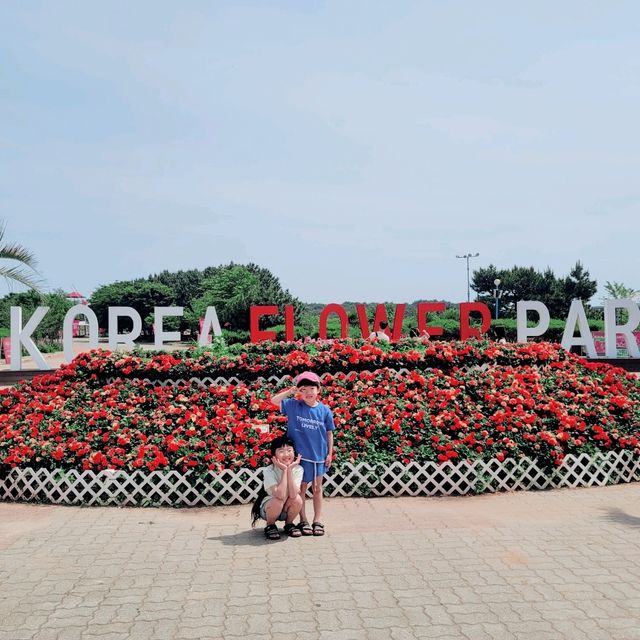 태안 코리아플라워파크에서 수국에 빠져보기💕