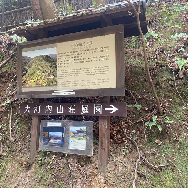 เดินเที่ยวป่าไผ่ Arashiyama Bamboo เมืองเกียวโต