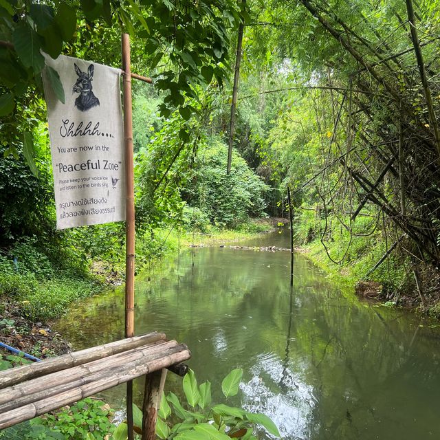 The Humble Jack คาเฟ่ธรรมชาติ ณ สวนผึ้งราชบุรี