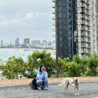 CiTy Coffee Pattaya 