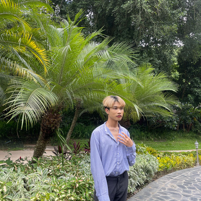 ล้านนารีสอร์ท เชียงใหม่ คาเฟ่ 🍃🌳