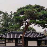 Joseon excellence in Jeonju Hanok Village