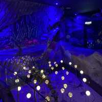 Entopia: Nature's Captivating Haven