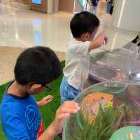 《迷你版生物多樣性博物館在將軍澳》