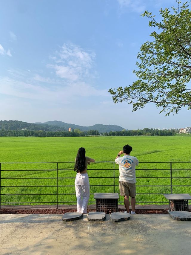 아산 신상카페! 눈이 맑아지는 기분은 덤 🫣