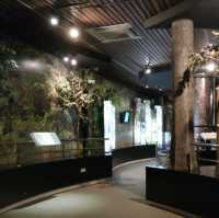 Sabah Museum - Unveiling Treasures