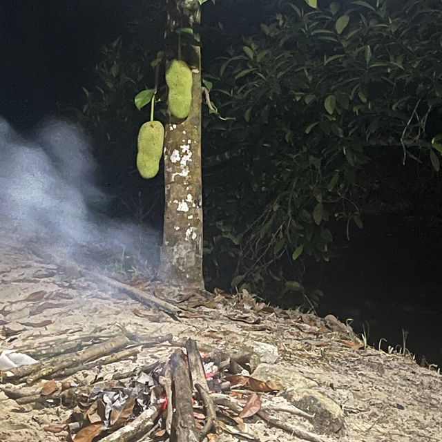 BEST CAMPSITE EVER 