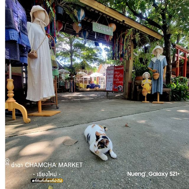 ฉำฉา [Chamcha Market] - เชียงใหม่