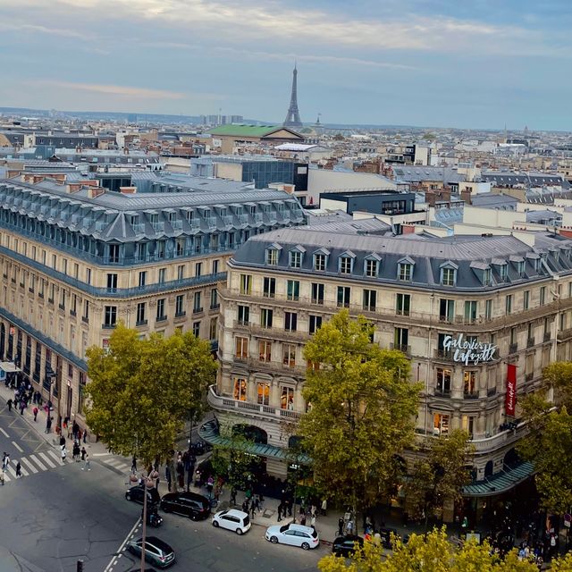 Unique Building of Galleries Lafayette