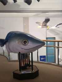 【福井】入館無料で楽しめる水族館