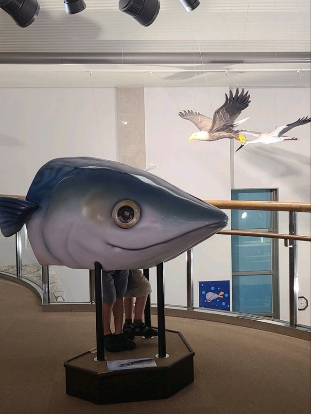 【福井】入館無料で楽しめる水族館