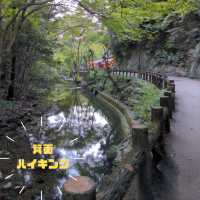【大阪からスグ】秋ハイキングに最適!箕面公園