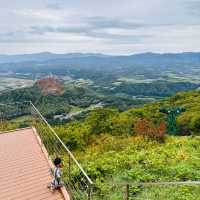 A perfect day at Usuzan Ropeway !