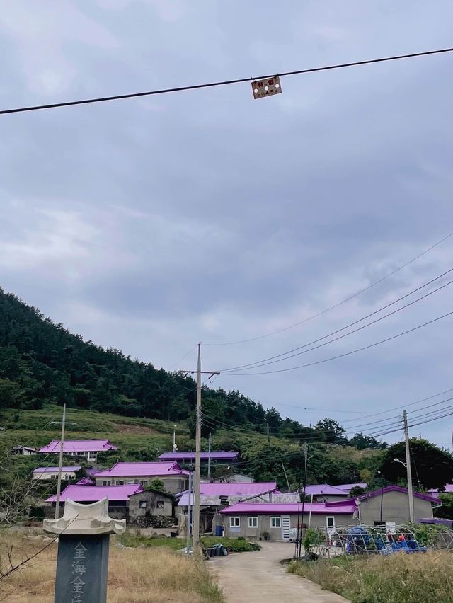 🇰🇷신안여행 보라빛마을 퍼플섬, 보라색 옷 입으면 입장료 무료🦄🍇💜