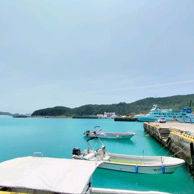 【沖縄 座間味島】ケラマブルーの海でシュノーケリング🌊🌺