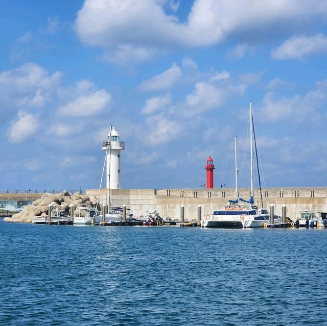 ⛵ 하늘아래 첫마을 도두에서 만나는, 도두항 풍경