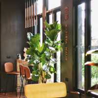  Barista Haus Coffee 