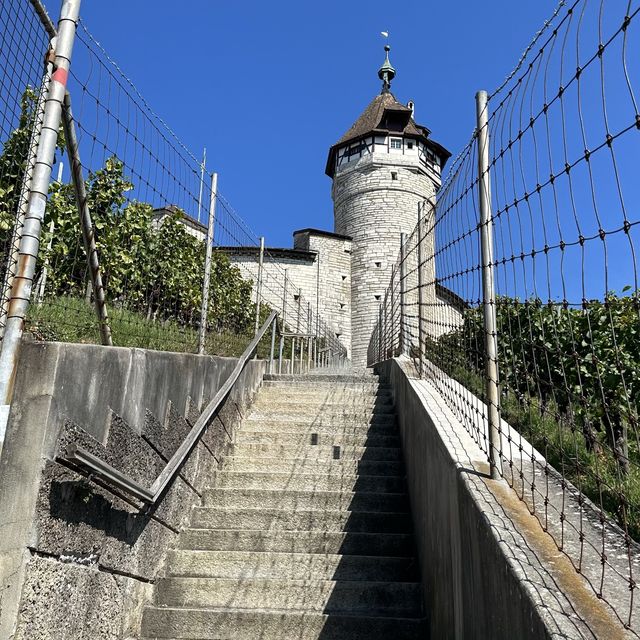 「沙夫豪森」：欣賞梅諾城堡建築