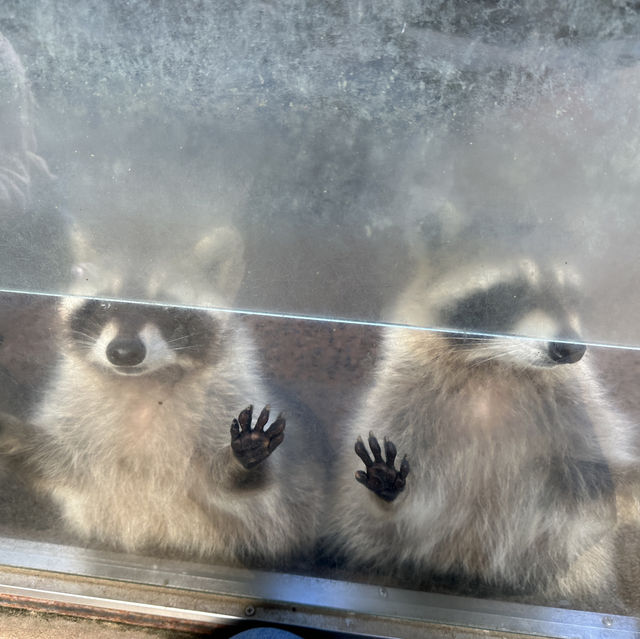動物さんと触れ合いまくり★長崎バイオパーク