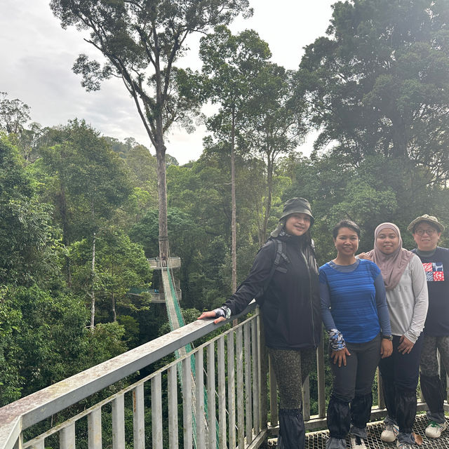 The amazing Danum Valley