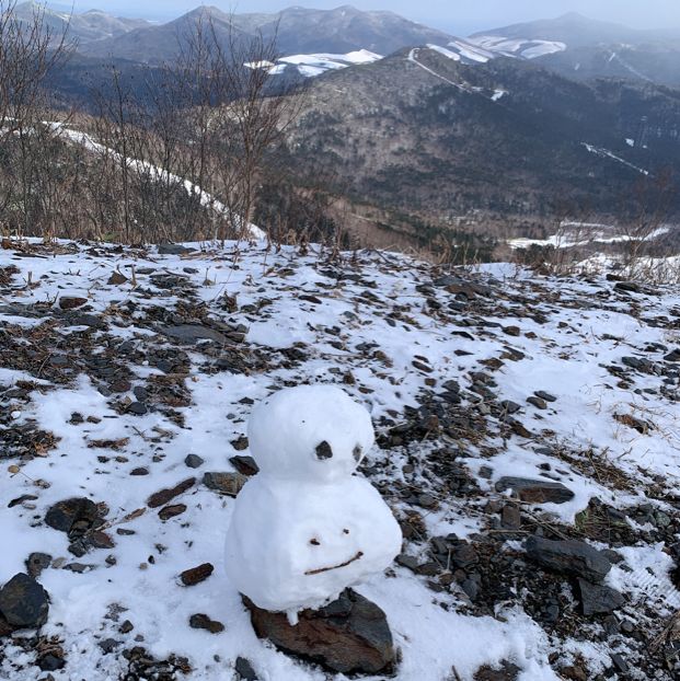 北海道賞雪