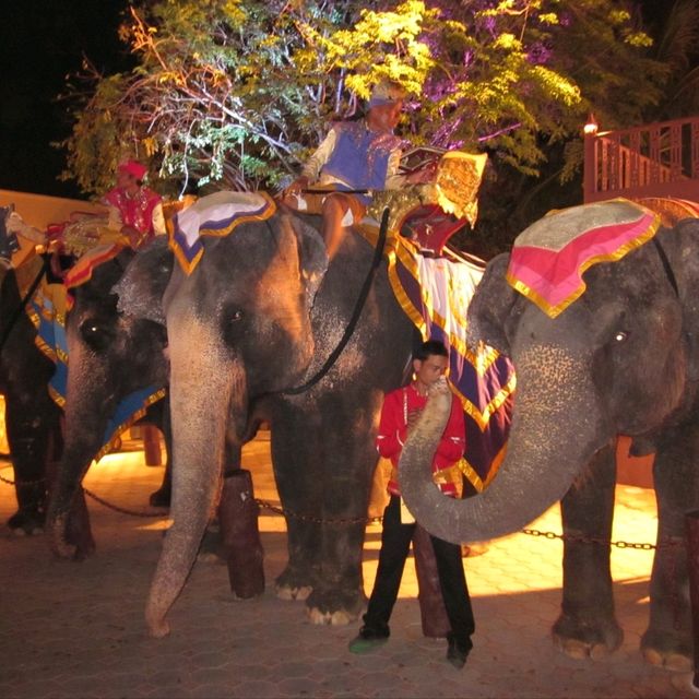 Fabulous Phuket Fantasea 