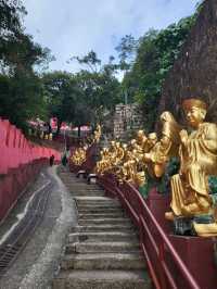 應該是全港最多佛像的寺院