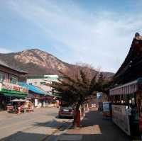 계룡산 동학사 상점가 수통골입구 팬션투어
