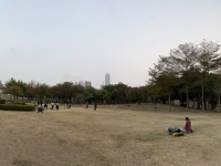 Green Lung in Downtown Kaohsiung 