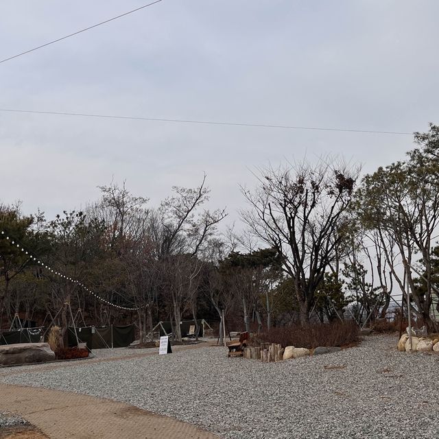 경기도 갈만한곳 화성 - 까페밀마