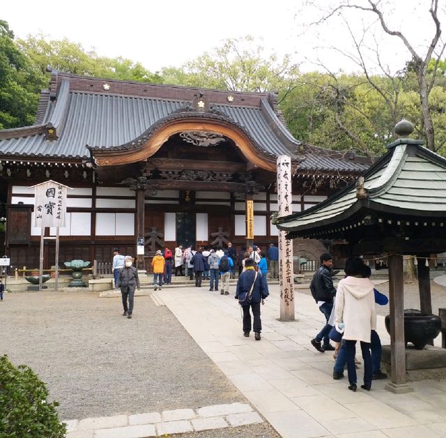 深大寺參拜之旅⛩🙏