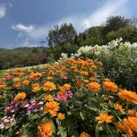 ดอยอ่างขาง (Doi Angkhang)